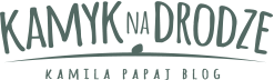 Kamyk na drodze Logo